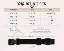 מארז קולר חכם ורצועה לכלב